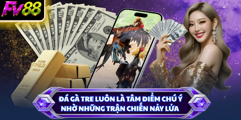 Đá gà tre luôn là tâm điểm chú ý nhờ những trận chiến nảy lửa