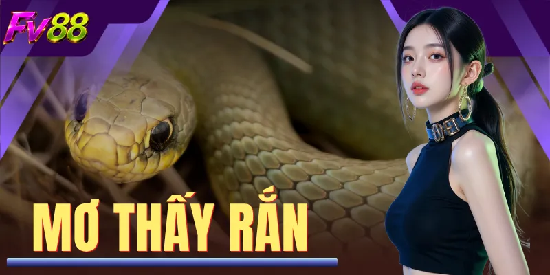 Mơ Thấy Rắn
