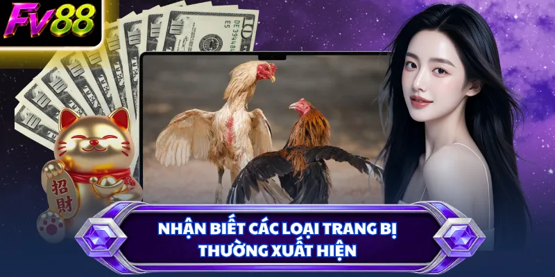 Nhận biết các loại trang bị thường xuất hiện